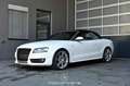 Audi A5 Cabriolet 2.0 TDI Pickerl NEU Weiß - thumbnail 7