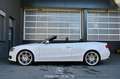 Audi A5 Cabriolet 2.0 TDI Pickerl NEU Weiß - thumbnail 5