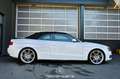 Audi A5 Cabriolet 2.0 TDI Pickerl NEU Weiß - thumbnail 11