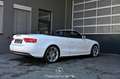 Audi A5 Cabriolet 2.0 TDI Pickerl NEU Weiß - thumbnail 2