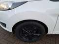 Ford Fiesta 1.25 Titanium | Airco | LM Velgen | Radio | Nette Weiß - thumbnail 8