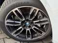 BMW 540 d xDrive M Sport AHK PANO StHg B&W Autobahnas Gris - thumbnail 37