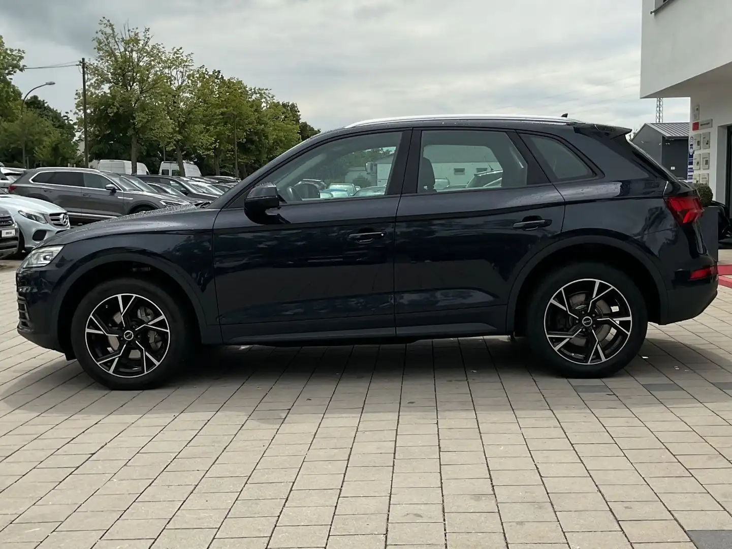Audi Q5 40 TDI quattro basis Klima Navi Pano RFK SHZ Blauw - 2