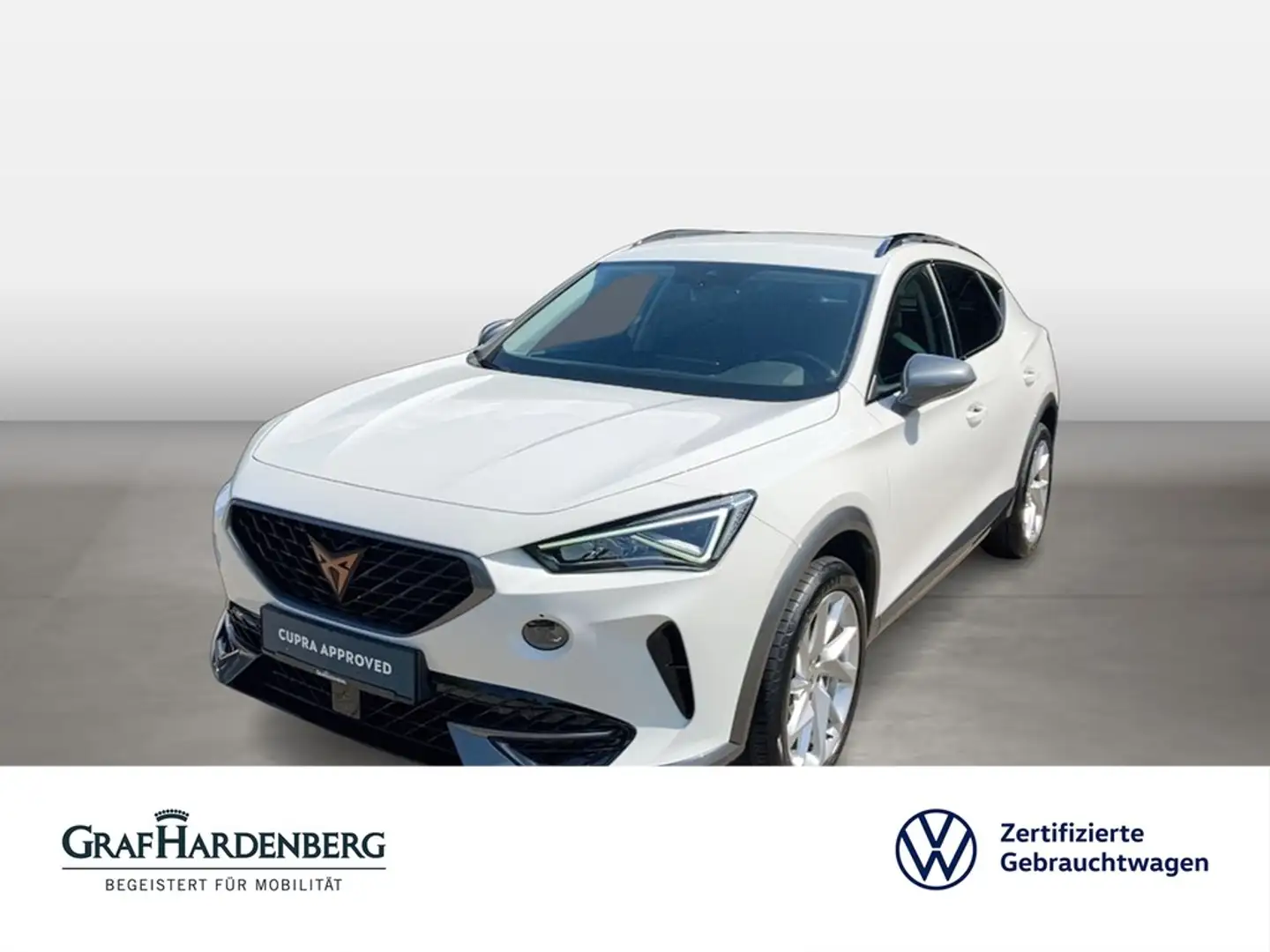 CUPRA Formentor 1.5 TSI Automatik AHK LED Winterpaket Weiß - 1