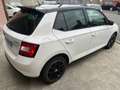 Skoda Fabia 1.0 TSI 110ch Monte Carlo Weiß - thumbnail 5