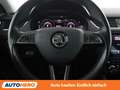 Skoda Octavia 2.0 TDI Style Limited Grau - thumbnail 19