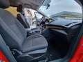 Ford Grand C-Max 7 1.5 tdci 120cv Business  7 posti - FM431BL Rosso - thumbnail 12