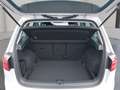 Volkswagen Golf Sportsvan 1.0 TSI Comfortline DSG Weiß - thumbnail 12