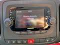 Fiat 500L 1.4 95 CV S&S Business Rosso - thumbnail 15