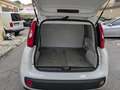 Fiat Panda 1.3 MJT S&S  Van 2 posti  km    5.500 !!! Blanc - thumbnail 5