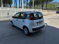 Fiat New Panda 1.0 firefly 70 cv S&S Blanco - thumbnail 3