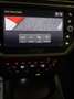 SEAT Ibiza 1.6 TDI 95 CV 5 porte FR Blanc - thumbnail 10