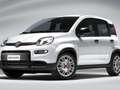 Fiat Panda Panda III 2021 1.0 firefly hybrid City Life s Bianco - thumbnail 1