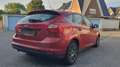 Ford Focus 1.6 TDCi Trend  en vacances contact whatsapp svp - thumbnail 5