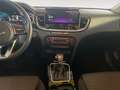Kia XCeed 1.6 Vision 2xKlima ACC AUT DynLicht Kam. Blanco - thumbnail 12