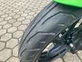 Kawasaki Z 125 Verde - thumbnail 8
