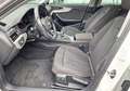 Audi A4 allroad 40 TDI 204 CV S tronic Business Evol. IVA ESPOSTA Blanco - thumbnail 12