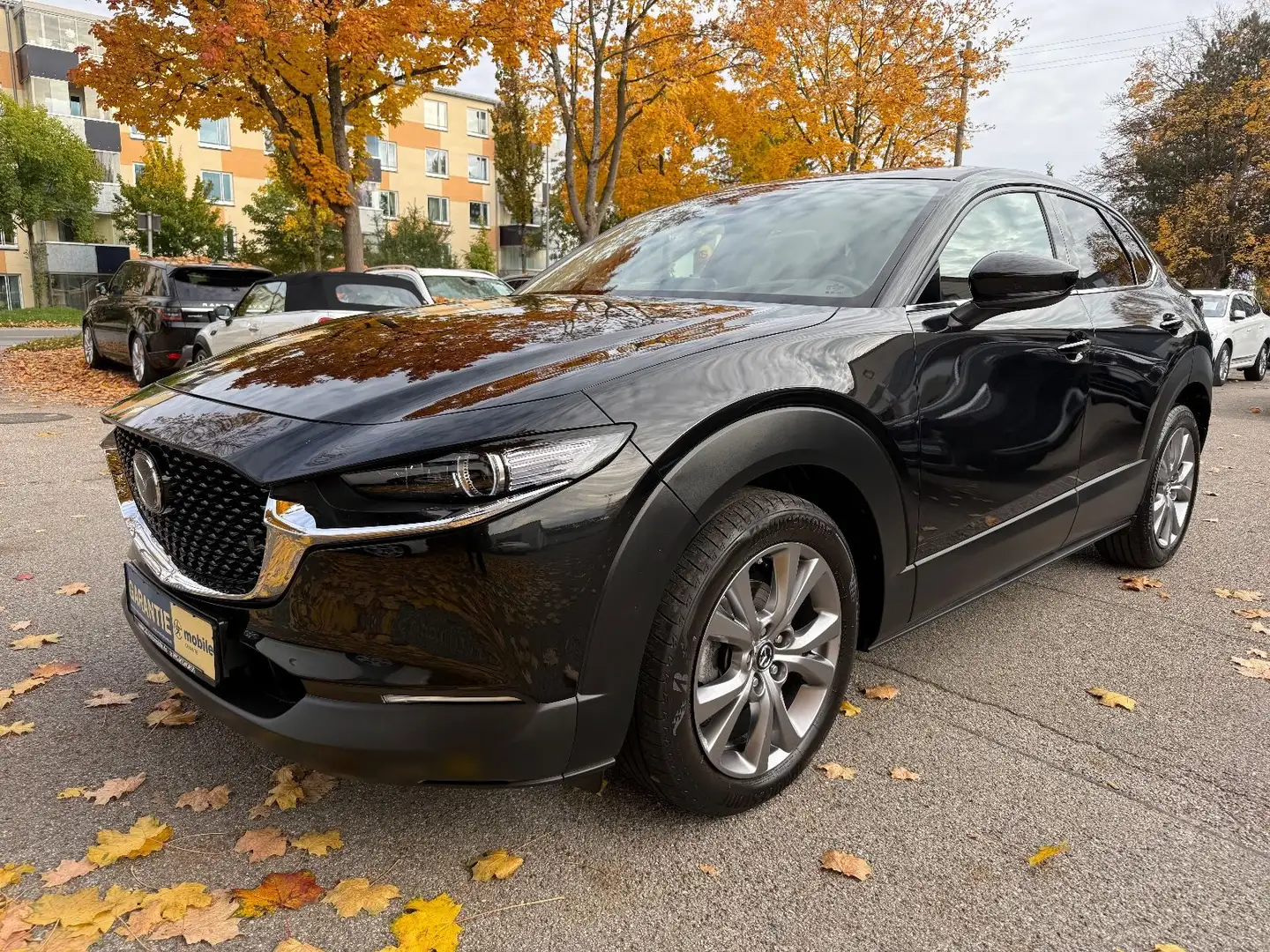 Mazda CX-3 0 Selection 2WD/Leder/Alu 18"/Designpaket Schwarz - 1