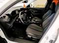 Peugeot 2008 Allure Pack- START&STOP- DIESEL (110CV) Blanco - thumbnail 16