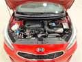 Kia Ceed SW / cee'd SW 1.0 T-GDI GT Line Navi|SHZ|Lenkradhzg. Rot - thumbnail 14