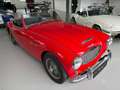 Austin Healey 100/6 Rot - thumbnail 1