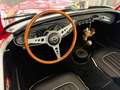Austin Healey 100/6 Rot - thumbnail 4