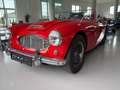 Austin Healey 100/6 Rot - thumbnail 2