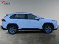 Toyota RAV 4 RAV4 2.5 Business Edition +Allwetter+EPH+LED+Navi Weiß - thumbnail 7