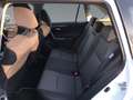 Toyota RAV 4 RAV4 2.5 Business Edition +Allwetter+EPH+LED+Navi Weiß - thumbnail 14