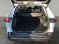Toyota RAV 4 RAV4 2.5 Business Edition +Allwetter+EPH+LED+Navi Weiß - thumbnail 15