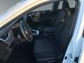 Toyota RAV 4 RAV4 2.5 Business Edition +Allwetter+EPH+LED+Navi Weiß - thumbnail 10