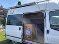 Ford Transit Buscamper Wit - thumbnail 7