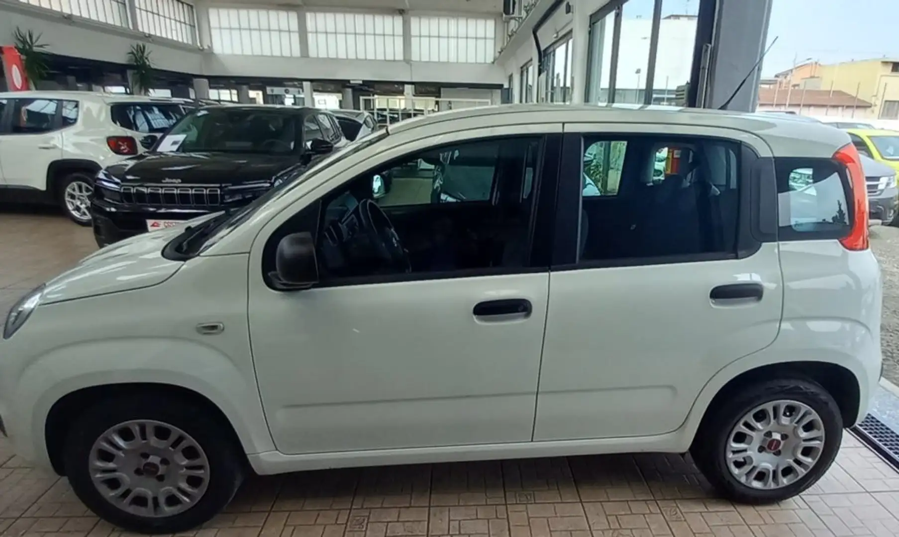 Fiat Panda 1.2 Easy Bianco - 2