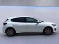 Ford Focus Lim. Titanium 1.0 EcoBoost MHEV *LED*RFK* Wit - thumbnail 7