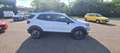 Ford EcoSport 1.0 ecoboost Active s&s 125cv Bianco - thumbnail 3