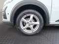 Dacia Sandero Stepway Comfort TCe 90 CVT Weiß - thumbnail 13