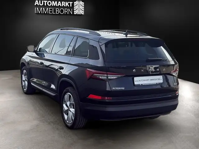 Skoda Kodiaq view 5
