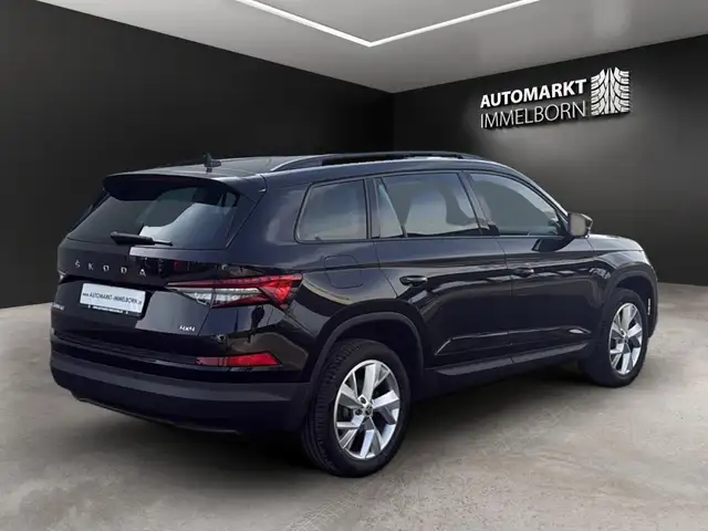 Skoda Kodiaq view 8
