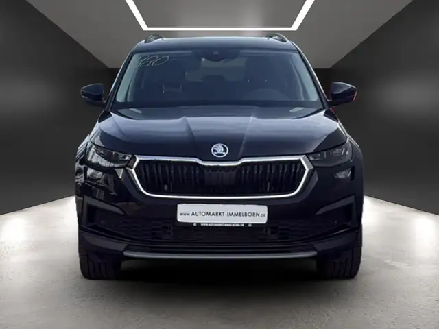 Skoda Kodiaq view 9
