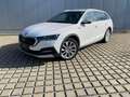 Skoda Octavia 2.0 TDI 4x4 DSG Scout AHK/MATRIX/NAVI/INFOTAIN+KO Weiß - thumbnail 2