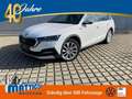 Skoda Octavia 2.0 TDI 4x4 DSG Scout AHK/MATRIX/NAVI/INFOTAIN+KO Weiß - thumbnail 1