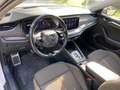 Skoda Octavia 2.0 TDI 4x4 DSG Scout AHK/MATRIX/NAVI/INFOTAIN+KO Weiß - thumbnail 4