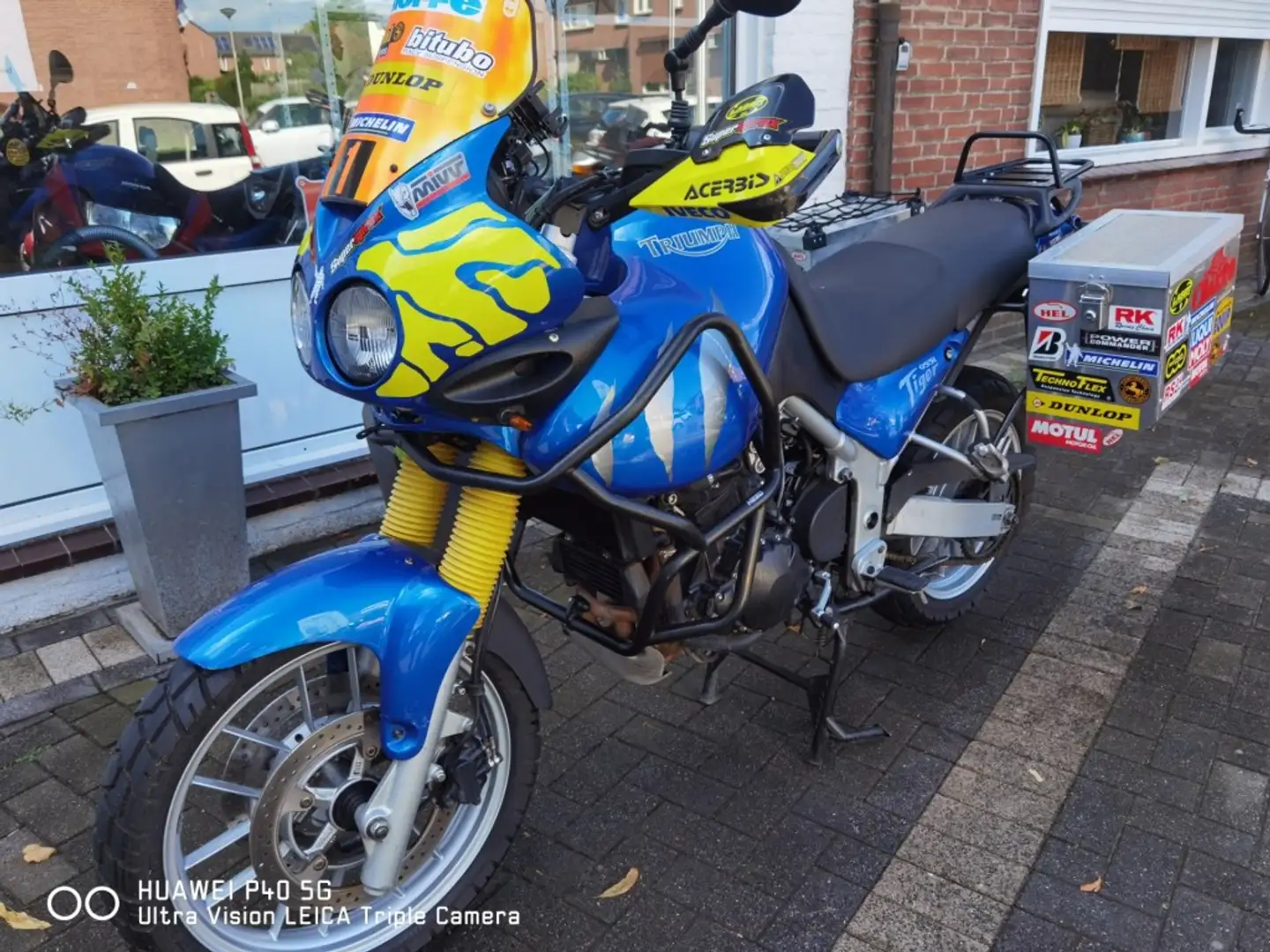 Triumph Tiger 955i 955i Tiger Bleu - 1