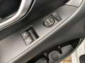 Hyundai i30 1.5 Klima/8-Fach-Bereift/Hagelschaden Weiß - thumbnail 14
