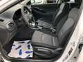 Hyundai i30 1.5 Klima/8-Fach-Bereift/Hagelschaden Weiß - thumbnail 6