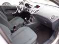 Ford Fiesta Ikon 1.4 5 porte Bz.- GPL *OK NEOPATENTATO* Grau - thumbnail 8