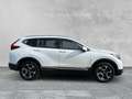 Honda CR-V ELEGANCE 1.5 T 4WD Elegance LED+DAB+SHZ+NAVI Bianco - thumbnail 7