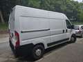 Fiat Ducato L2H2 Autm. Weiß - thumbnail 3