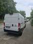 Fiat Ducato L2H2 Autm. Weiß - thumbnail 4