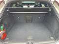 Volvo XC60 Plus Dark T8 20''LM Pano 360kam Harman Lenkradhz e Beige - thumbnail 11